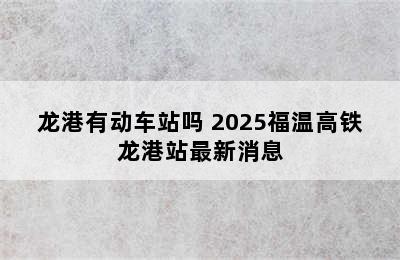 龙港有动车站吗 2025福温高铁龙港站最新消息